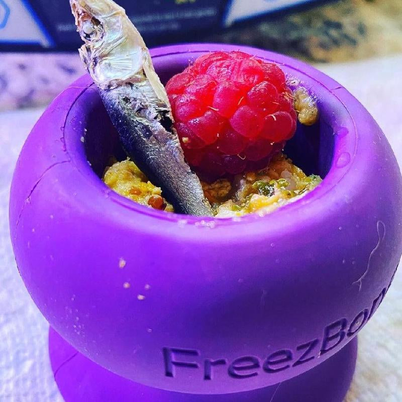Freezball Bundle 90 Grams Fillers