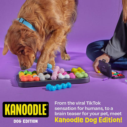 Brightkins Kanoodle Dog Edition - Large, a Brain Teaser for Your Furry Friend