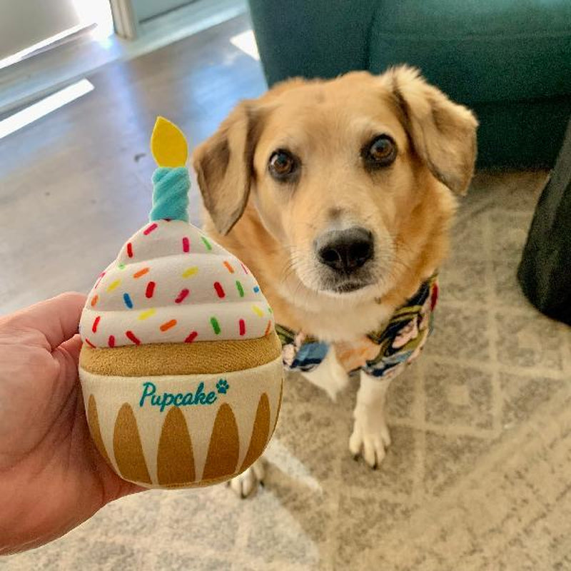 Nestpark Dog Birthday Toy - Pup Cake Puppy Cupcake Plush Squeak and Crinkle Gift