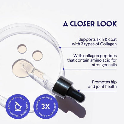 Wonder Paws Collagen 3X for Dogs - Skin & Coat Support with Hyaluronic Acid for Hip & Joint Mobility - Liquid Supplement for Dogs