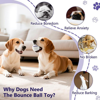 【Buy 1 Get 1 Free】Pawaboo Dog Balls for Aggressive Chewers, Indestructible Teething Tennis Balls for Dogs, Interactive High Bouncy Dog Toy Balls Water Toy Fetch Balls for Large Medium Small Dog and Puppies