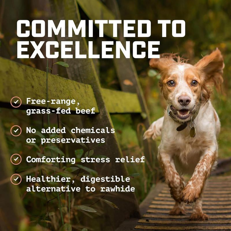 Wild Wolf USA Pig Ears (5 Pack) 100% Natural Dog Chew Treat - Sourced and Baked in the USA - Healthy, High Protein Dog Snack