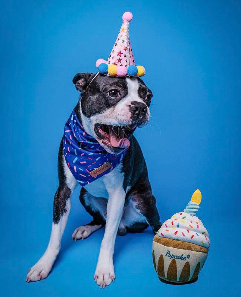 Nestpark Dog Birthday Toy - Pup Cake Puppy Cupcake Plush Squeak and Crinkle Gift