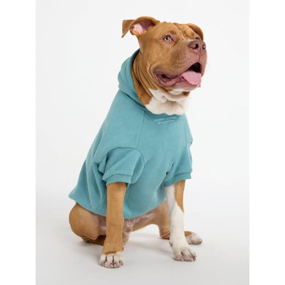 You Matter Paw Hoodie