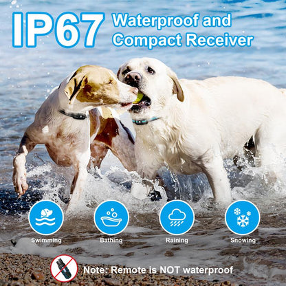 Dog Training Collar 2 Dogs-3300Ft Dog Shock Collar with Remote,Lp67 Waterproof E Collar for Dogs(5-120Lbs) #Cozyvibes #Petlife
