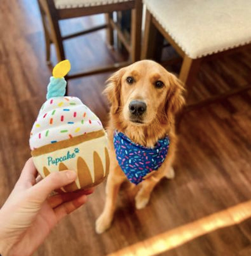 Nestpark Dog Birthday Toy - Pup Cake Puppy Cupcake Plush Squeak and Crinkle Gift