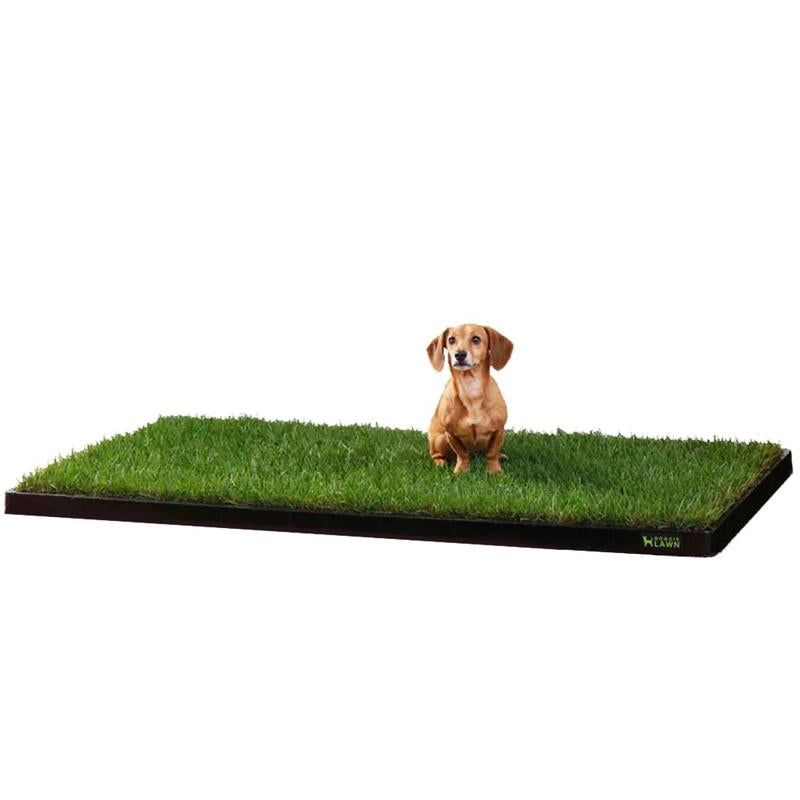 Doggielawn Real Grass Potty Pad, Odor Neutralizing, Sustainable and Affordable - Pet Supplies