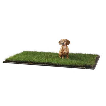Doggielawn Real Grass Potty Pad, Odor Neutralizing, Sustainable and Affordable - Pet Supplies