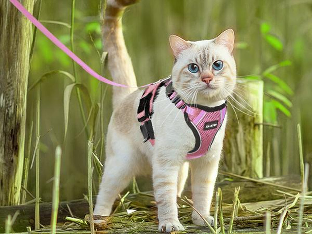 Halypet Escape Proof Cat Harness and Leash Set, with Security Lock and Reflective Strip Harness Cat Accessories Animal