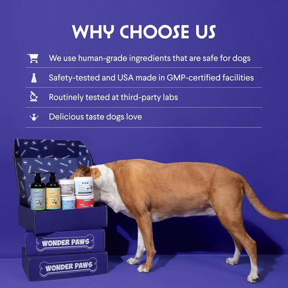 Wonder Paws Collagen 3X for Dogs - Skin & Coat Support with Hyaluronic Acid for Hip & Joint Mobility - Liquid Supplement for Dogs