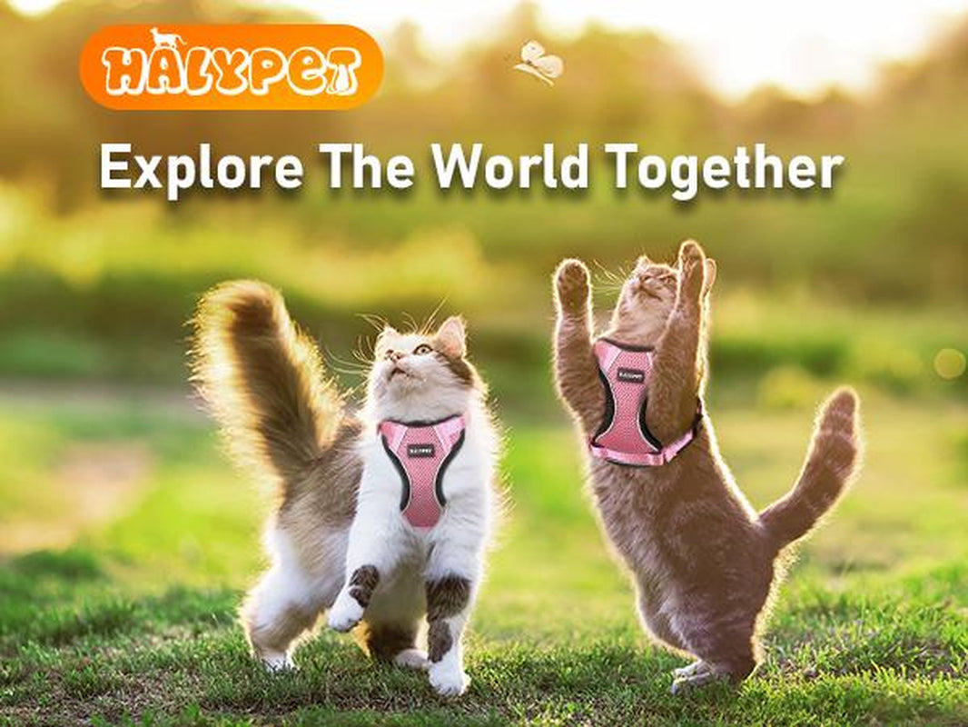 Halypet Escape Proof Cat Harness and Leash Set, with Security Lock and Reflective Strip Harness Cat Accessories Animal