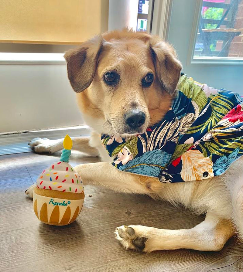 Nestpark Dog Birthday Toy - Pup Cake Puppy Cupcake Plush Squeak and Crinkle Gift