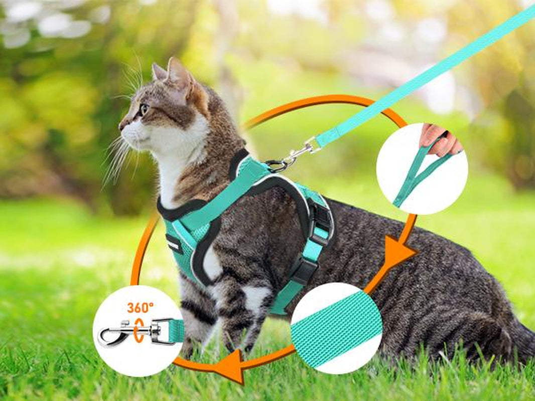 Halypet Escape Proof Cat Harness and Leash Set, with Security Lock and Reflective Strip Harness Cat Accessories Animal