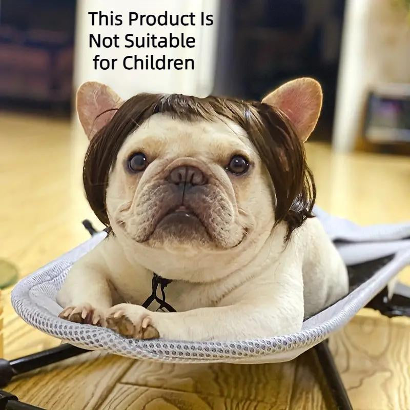 Cute Short Hair Wig for Pets, Funny Pet Wig Hair Accessories for Dogs & Cats, Creative Pet Supplies, Summer Gift, Cat Products, Pet Product, Dog Grooming Kit, Pet Supplies, Puppy Toy