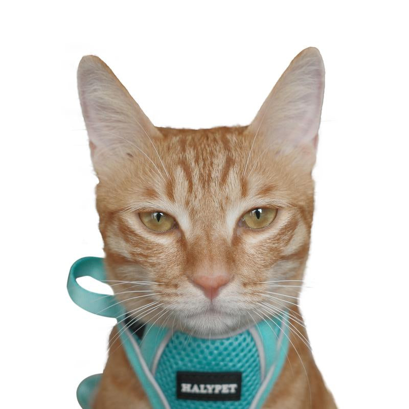 Halypet Escape Proof Cat Harness and Leash Set, with Security Lock and Reflective Strip Harness Cat Accessories Animal
