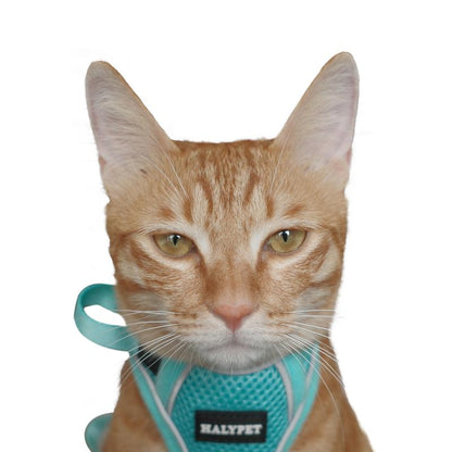 Halypet Escape Proof Cat Harness and Leash Set, with Security Lock and Reflective Strip Harness Cat Accessories Animal