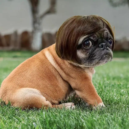 Cute Short Hair Wig for Pets, Funny Pet Wig Hair Accessories for Dogs & Cats, Creative Pet Supplies, Summer Gift, Cat Products, Pet Product, Dog Grooming Kit, Pet Supplies, Puppy Toy