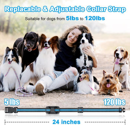 Dog Training Collar 2 Dogs-3300Ft Dog Shock Collar with Remote,Lp67 Waterproof E Collar for Dogs(5-120Lbs) #Cozyvibes #Petlife