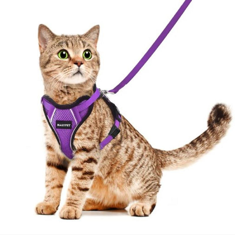 Halypet Escape Proof Cat Harness and Leash Set, with Security Lock and Reflective Strip Harness Cat Accessories Animal