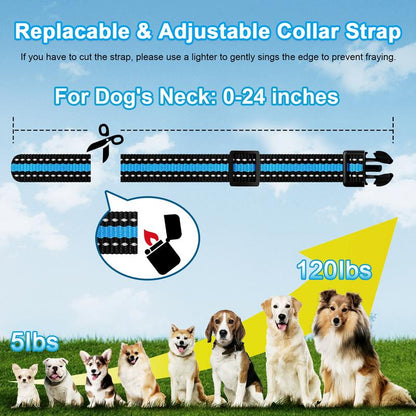 Dog Training Collar 2 Dogs-3300Ft Dog Shock Collar with Remote,Lp67 Waterproof E Collar for Dogs(5-120Lbs) #Cozyvibes #Petlife
