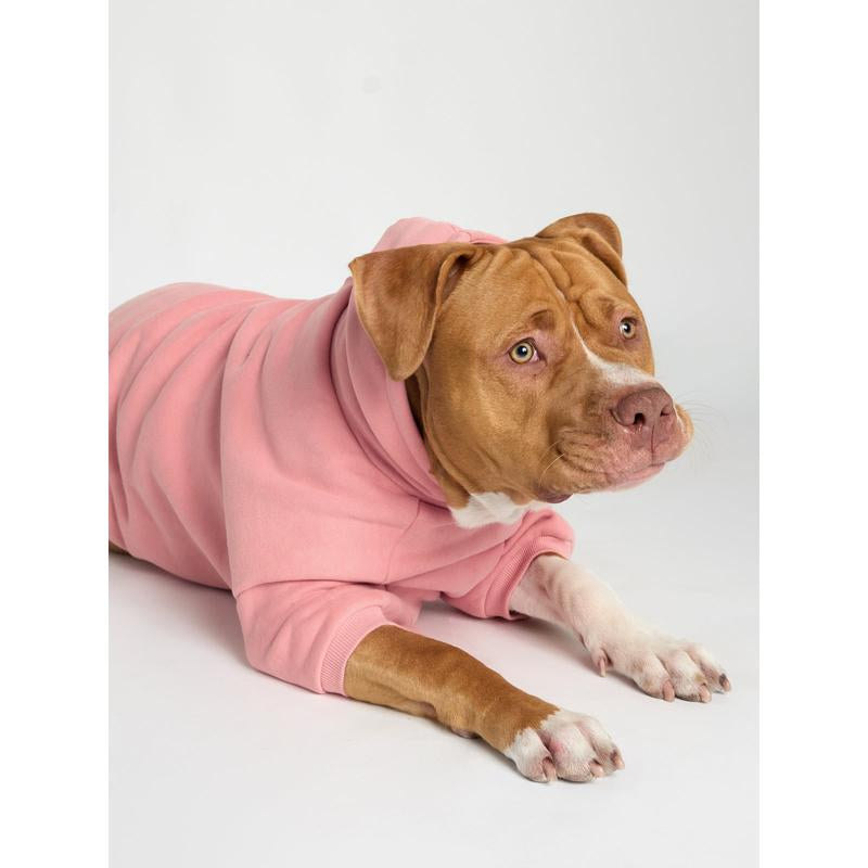 You Matter Paw Hoodie