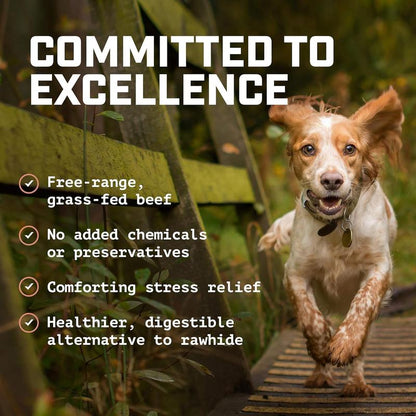 Wild Wolf 6-Inch Angus Bully Sticks (8 Ounces) Healthy, All-Natural, Long-Lasting Dog Chew Bones - Odor-Free - Mixed Thickness