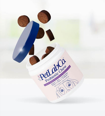 Probiotics for Dogs – Soft Chews for Gut & Digestive Health