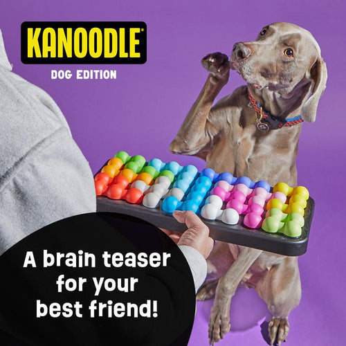 Brightkins Kanoodle Dog Edition - Large, a Brain Teaser for Your Furry Friend