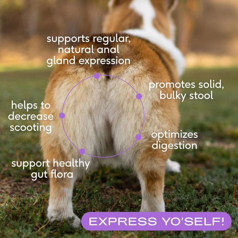 The Daily + Wondergland | 11-In-1 Whole Body Health + Triple Fiber Blend for Gland & Digestive Support | Clean, Vet-Backed, Easy-To-Use Toppers | Daily + Anal Gland Supplement Including Dog Gut Health Probiotics for Anal Gland Support