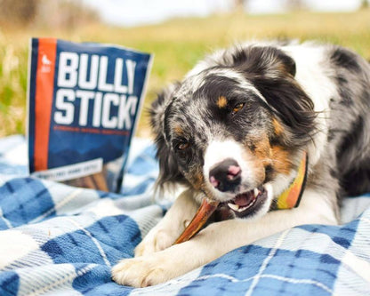 Wild Wolf 6-Inch Angus Bully Sticks (8 Ounces) Healthy, All-Natural, Long-Lasting Dog Chew Bones - Odor-Free - Mixed Thickness