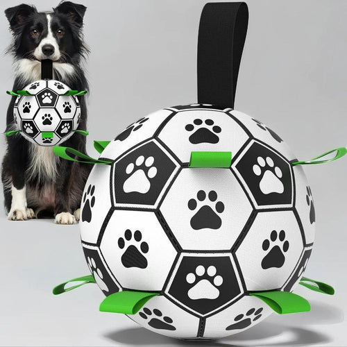 Gift for Pets, Paw Pattern Football Pet Toy Summer Gift, Indoor & Outdoor Pet Play Supply with Nylon Strap & Hand Pump, Creative Dog Chewing Ball Toy for Teeth Cleaning, Durable Pet Tools Products