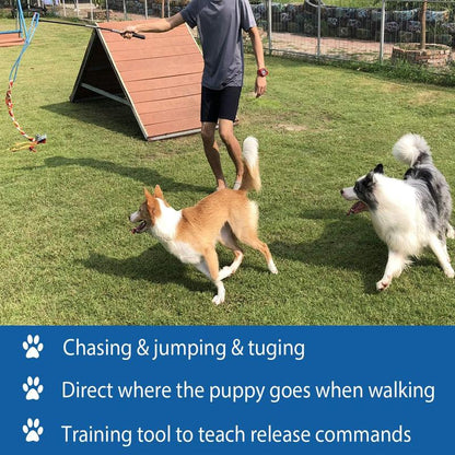 Interactive Flirt Pole Toy for Dogs Chase and Tug of War,Durable Teaser Wand with Pet Fleece Rope to Outdoor Exercise & Training for Dogs