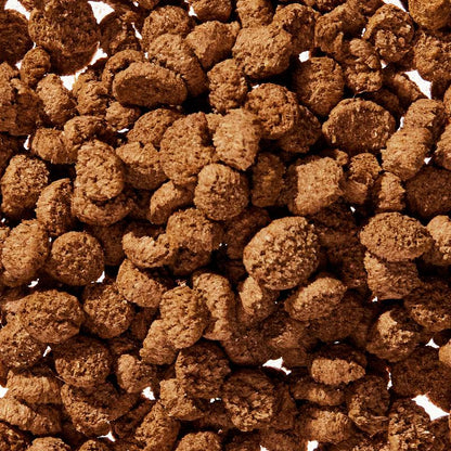 The Daily + Wondergland | 11-In-1 Whole Body Health + Triple Fiber Blend for Gland & Digestive Support | Clean, Vet-Backed, Easy-To-Use Toppers | Daily + Anal Gland Supplement Including Dog Gut Health Probiotics for Anal Gland Support