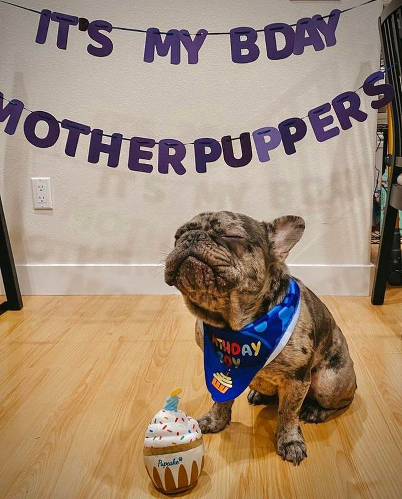 Nestpark Dog Birthday Toy - Pup Cake Puppy Cupcake Plush Squeak and Crinkle Gift