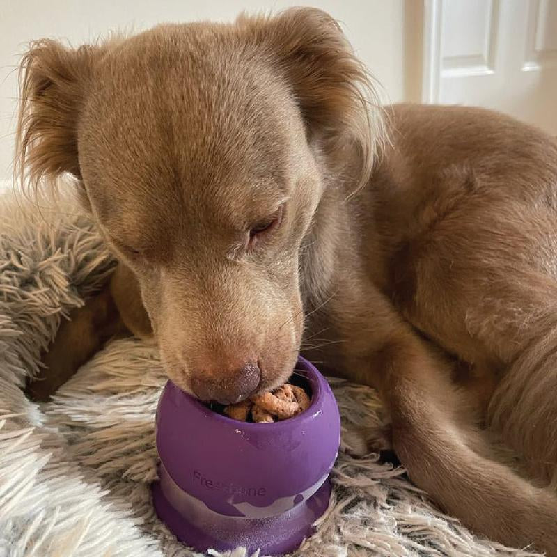 Freezball Bundle 90 Grams Fillers