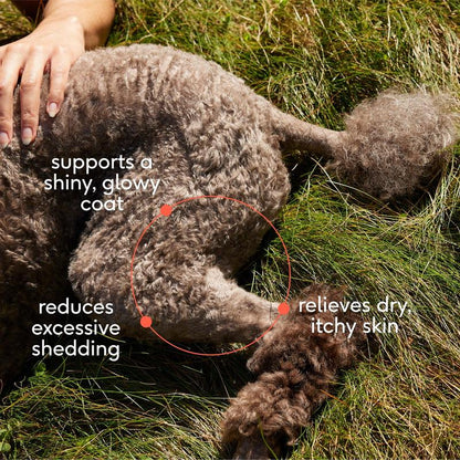 Native Pet Omega 3 Fish Oil for Dogs & Cats - Promotes Healthy Skin, Shiny Coat, & Strong Joints