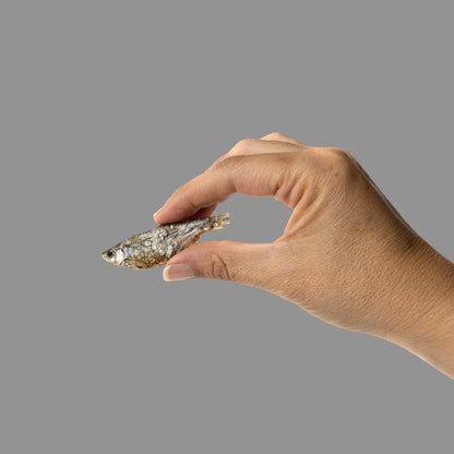 King Lou Whole Minnows - Freeze-Dried Raw Snack for Dogs and Cats Single Ingredient, 100% USA, Human Grade, Treats Pet Products Natural Food Pets Supplies