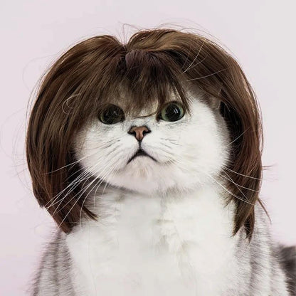 Cute Short Hair Wig for Pets, Funny Pet Wig Hair Accessories for Dogs & Cats, Creative Pet Supplies, Summer Gift, Cat Products, Pet Product, Dog Grooming Kit, Pet Supplies, Puppy Toy