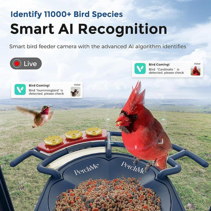 Perchme Bird Feeder with Camera Solar Powered,1080P Bird House Camera with AI Identify, Smart Bird Feeder Camera for Outdoors, Ideal Gift with Nectar Auto Capture