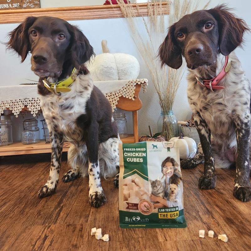 Freeze-Dried Chicken Treats for Cats and Small Dogs